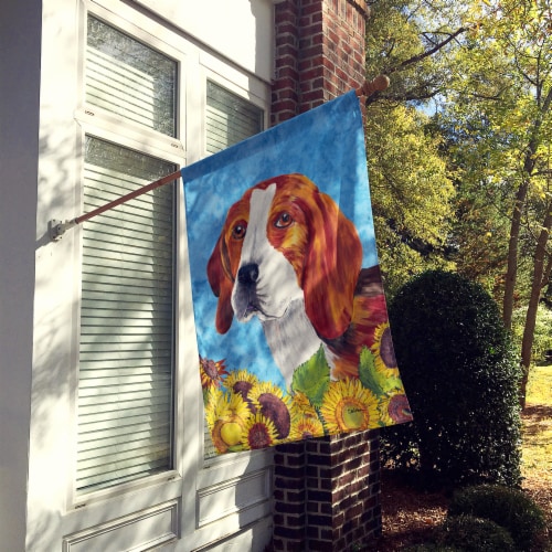 Carolines Treasures SC9067CHF Beagle in Summer Flowers House Flag Perspective: back
