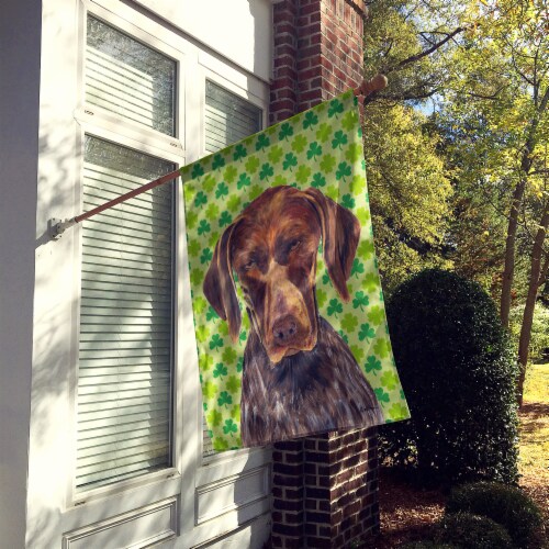 German Shorthaired Pointer St. Patrick's Day Shamrock Portrait Flag Canvas House Perspective: back