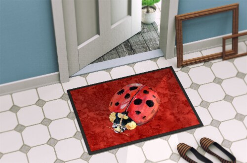 3 Piece 'Little Ladybug' Outfit - Hazel & Bo