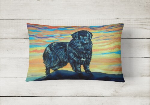 Carolines Treasures 7518PW1216 Newfoundland Canvas Fabric Decorative Pillow Perspective: back