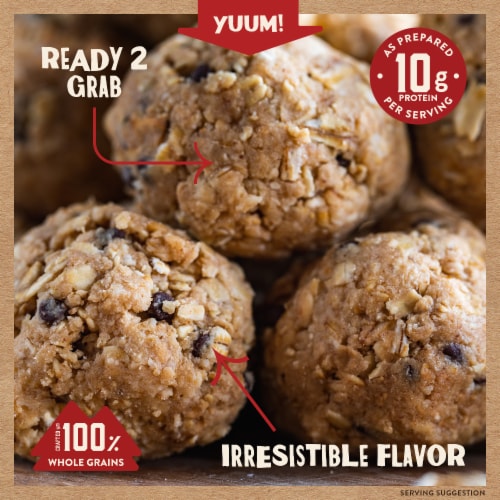 Kodiak Cakes® Oatmeal Chocolate Chip Protein Ball™ Mix Perspective: back
