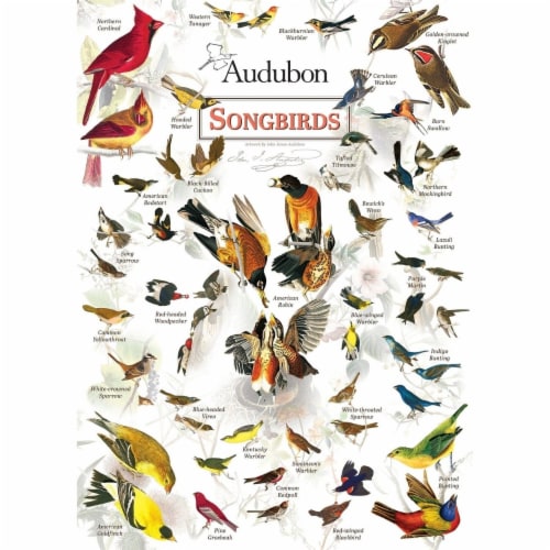 Audubon Songbird 1000 Piece Jigsaw Puzzle Perspective: back
