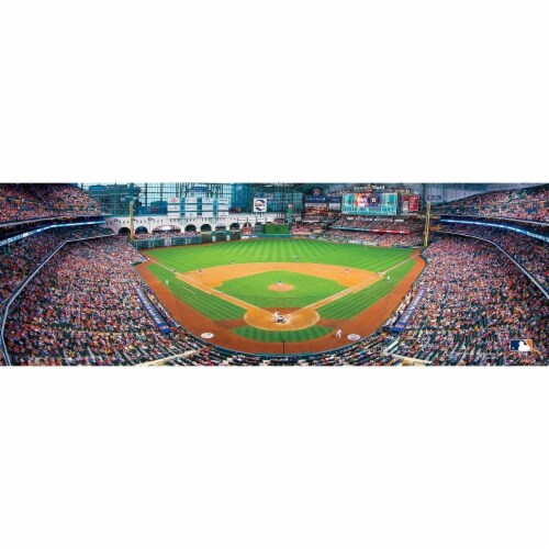 HOU MLB Panoramic Puzzle Perspective: back