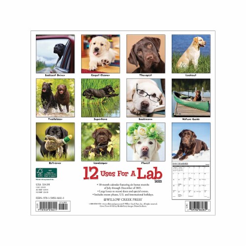 2022 Willow Creek 12 Uses for a Lab 12 x 12 Monthly Wall Calendar