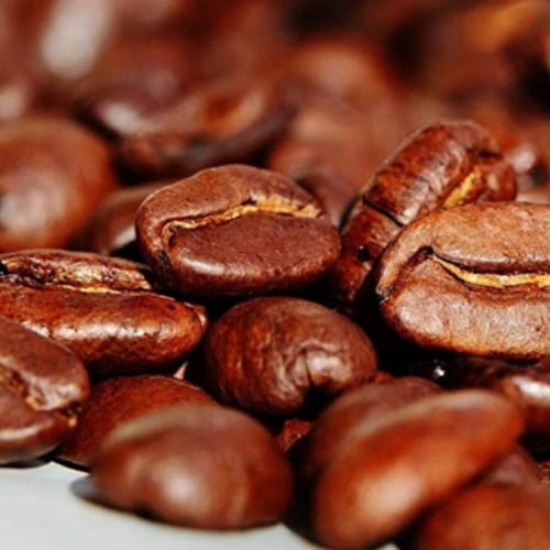 Premium Kaya Kopi Luwak From Indonesia Wild Palm Civets Arabica Coffee Beans (100 Grams) Perspective: back