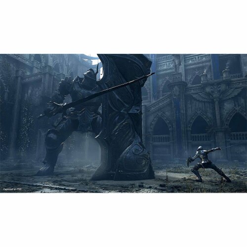 Demon's Souls (PlayStation 5) Perspective: back