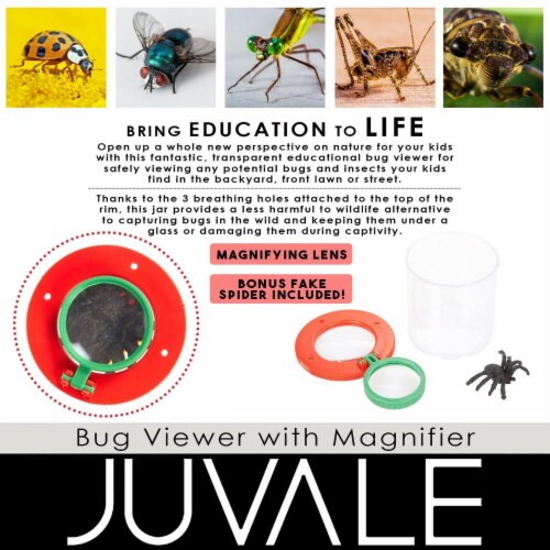 Plastic Transparent Bug Viewer Jar for Kids, with 3X Magnifying Lens,  Red and Green Perspective: back
