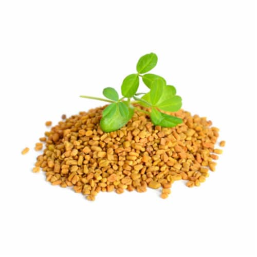 Aiva Fenugreek Seeds (Methi) 14 oz Perspective: back