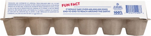 Eggland's Best Pasture Raised Large Brown Eggs Perspective: back