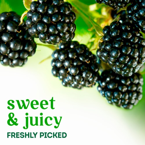 Fresh Organic Blackberries Perspective: back