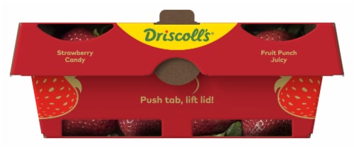 Driscoll's® Sweetest Batch Premium Strawberries Perspective: back