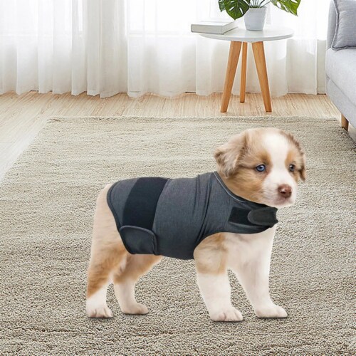 Breathable Thunder Vest Dog Anxiety Shirt Classic Stress Relief XS Mariano s