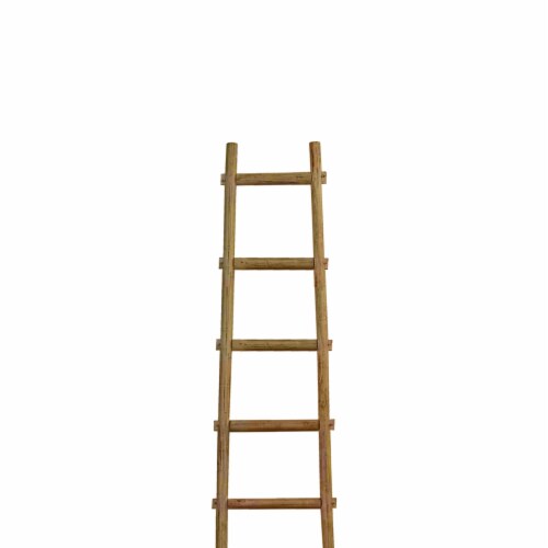 Screen Gems 6 Step 6 ft BlankRock Decorative Wooden Ladder Perspective: back