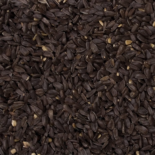 Wild Delight Premium Grade Black Oil Sunflowers Perspective: back