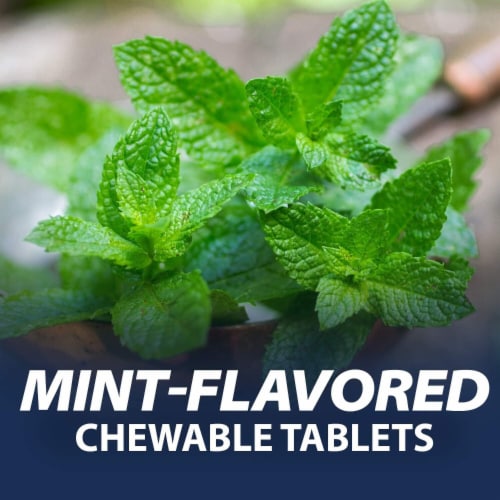 Rolaids Antacid Extra Strength Mint Chewable Tablets Perspective: back