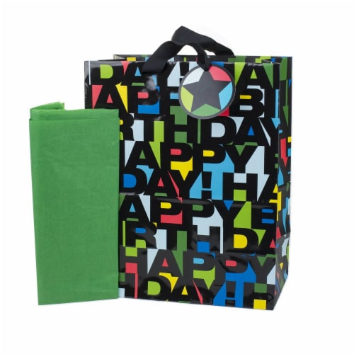 Hallmark #54 Large Birthday Gift Bag with Tissue Paper (Black Letters) Perspective: back