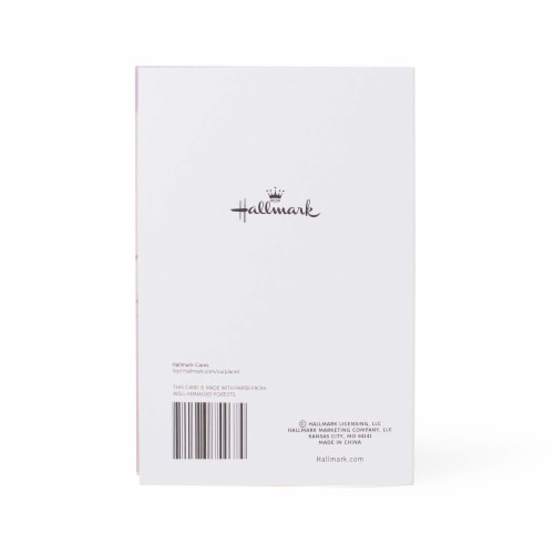 Hallmark #8 Birthday Card (Confetti Balloons) Perspective: back
