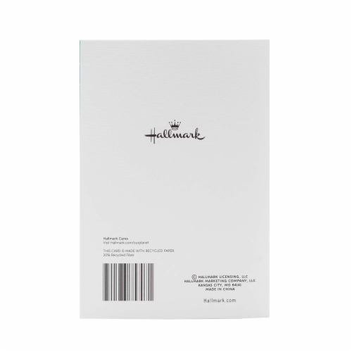Hallmark #2 Sympathy Card (Seascape with Birds) Perspective: back