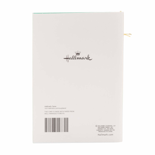 Hallmark #9 Birthday Card (Live Life to the Fullest) Perspective: back