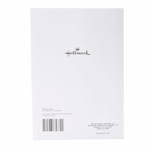 Hallmark #11 Birthday Card (Envelope with Confetti) Perspective: back