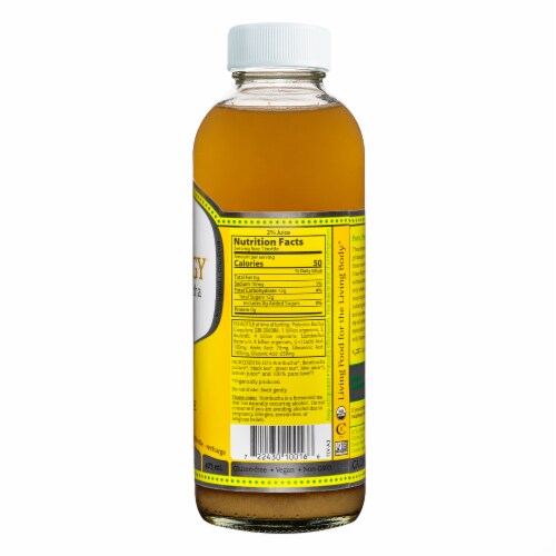 GT's Living Foods Synergy Organic Lemonade Raw Kombucha Perspective: back