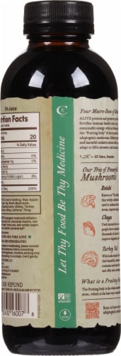 GT's Alive Matcha Vanilla Kombucha Perspective: back