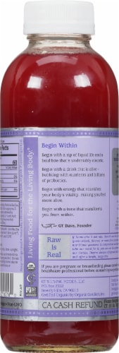 GT's Synergy® Kombucha Organic Lavender Love™ Perspective: back