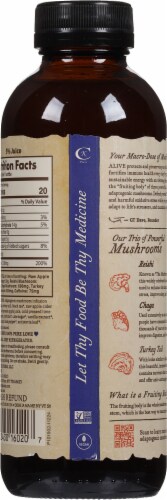 GT's Alive Cola Ancient Mushroom Elixir Drink Perspective: back