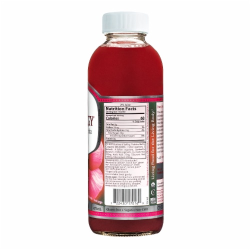 GT Synergy® Organic Hibiscus Giner Raw Kombucha Perspective: back