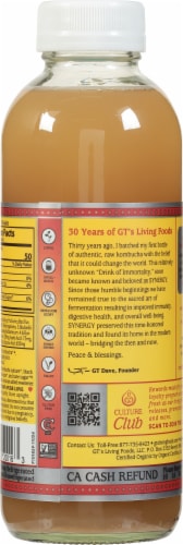GT’s Synergy® Kombucha Gingerade® Perspective: back