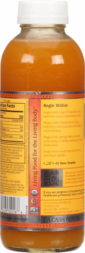 GT's Living Foods Carrot Turmeric Synergy Raw Kombucha Perspective: back