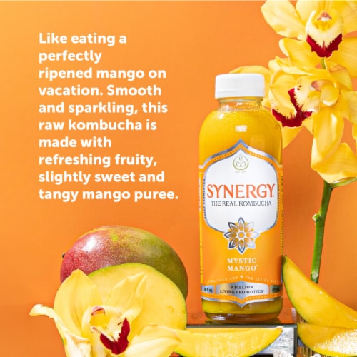 Synergy The Real Kombucha, Mystic Mango Perspective: back