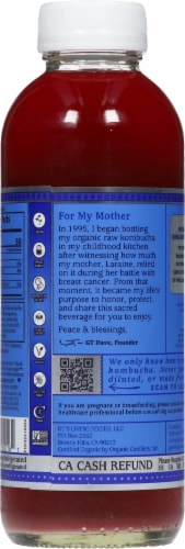 GT's Living Foods Synergy Organic Gingerberry Kombucha Perspective: back