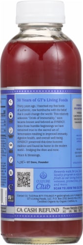 GT's Synergy® Gingerberry® Kombucha Perspective: back