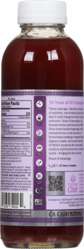 GT's Synergy® Elderberry Juniper Raw Kombucha Perspective: back