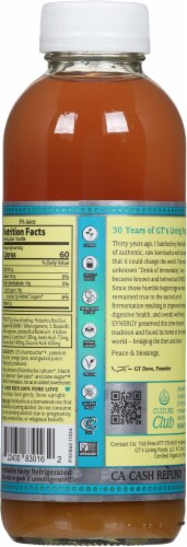 GT's Synergy® Raw Kombucha - Island Bliss™ Perspective: back