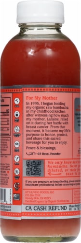 GT's Living Foods Synergy® Organic Guava Goddess Raw Kombucha Perspective: back