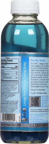 GT's Synergy® Kombucha Organic Sacred Life Perspective: back