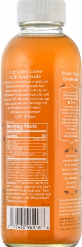 GT's Living Foods Seasonal Fall Edition Living in Gratitude Kombucha Perspective: back