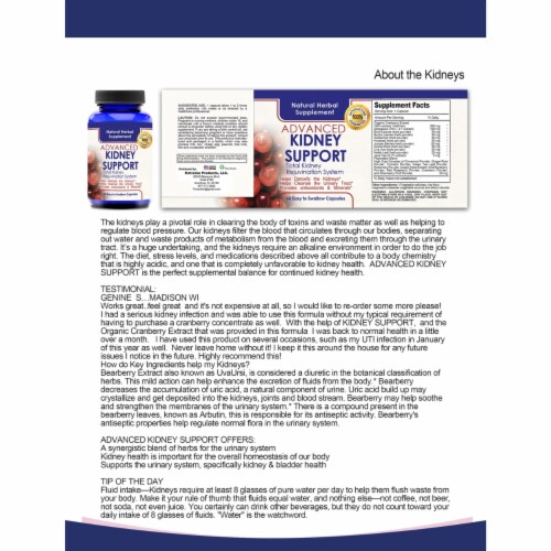 Kidney and Urinary Cleansing Support Perspective: back