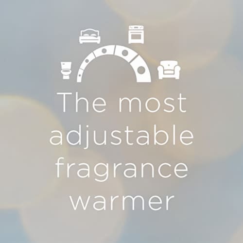 Glade 13074 Plugins Air Freshener Oil Refill Apple Cinnamon (Pack of 12) Perspective: back