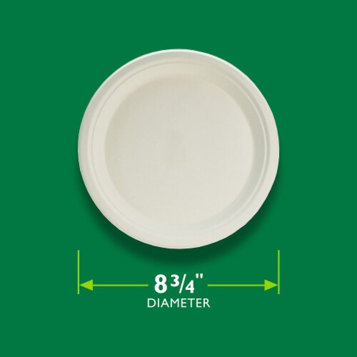 Hefty ECOSAVE Compostable Paper Plates (Pack of 32) Perspective: back