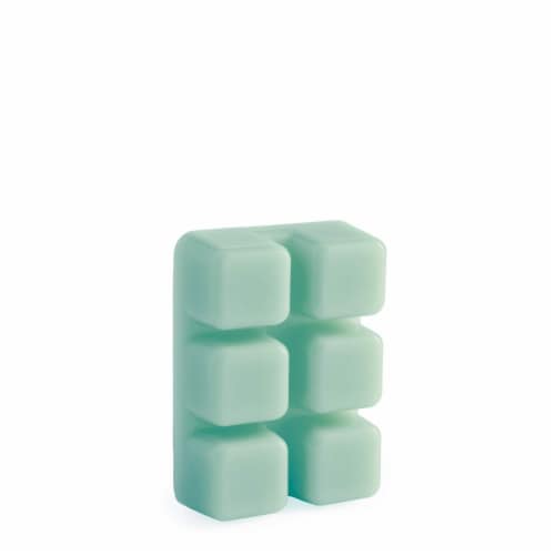 Escape to Paradise 2.5oz Wax Melt (Pack of 6) Perspective: back