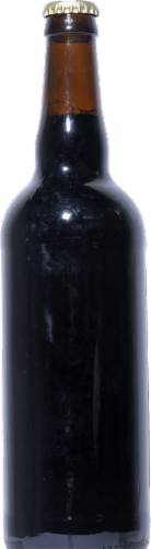 Lagunitas Brewing Company IPA Perspective: back