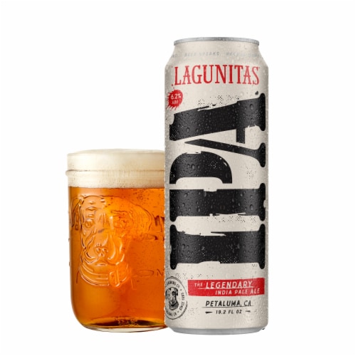 Lagunitas® IPA Craft Beer Single Can Perspective: back