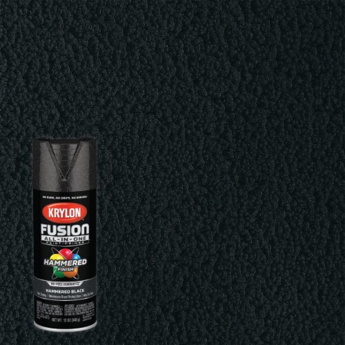 Krylon® Fusion All-In-One Paint and Primer Spray - Hammered Black Perspective: back