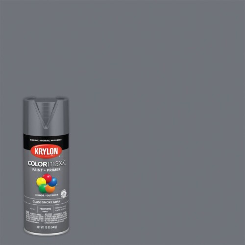 Krylon® ColorMaxx Indoor/Outdoor Gloss Smoke Gray Spray Paint and Primer Perspective: back