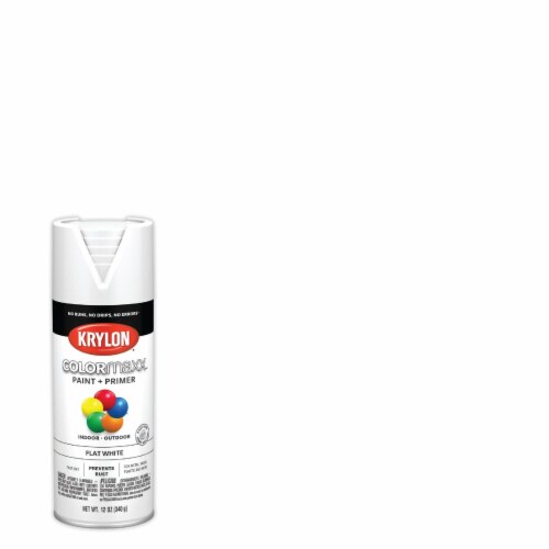 Krylon® Colormaxx Flat White Spray Paint & Primer Perspective: back