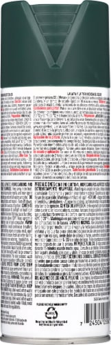Krylon® ColorMaxx Satin Hunter Green Indoor/Outdoor Spray Paint and Primer Perspective: back