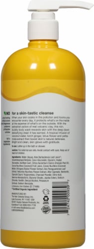 Alba Botanica® Volcanic Clay Hawaiian Detox Body Wash Perspective: back